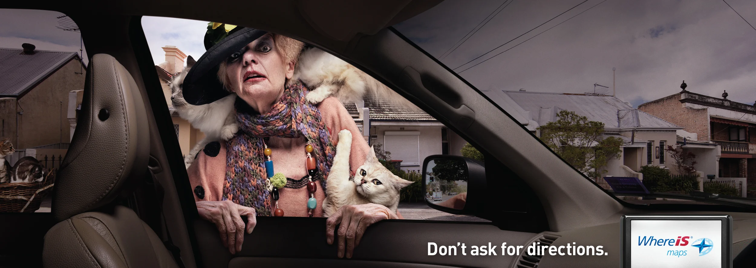 WHEREIS_catlady.jpg