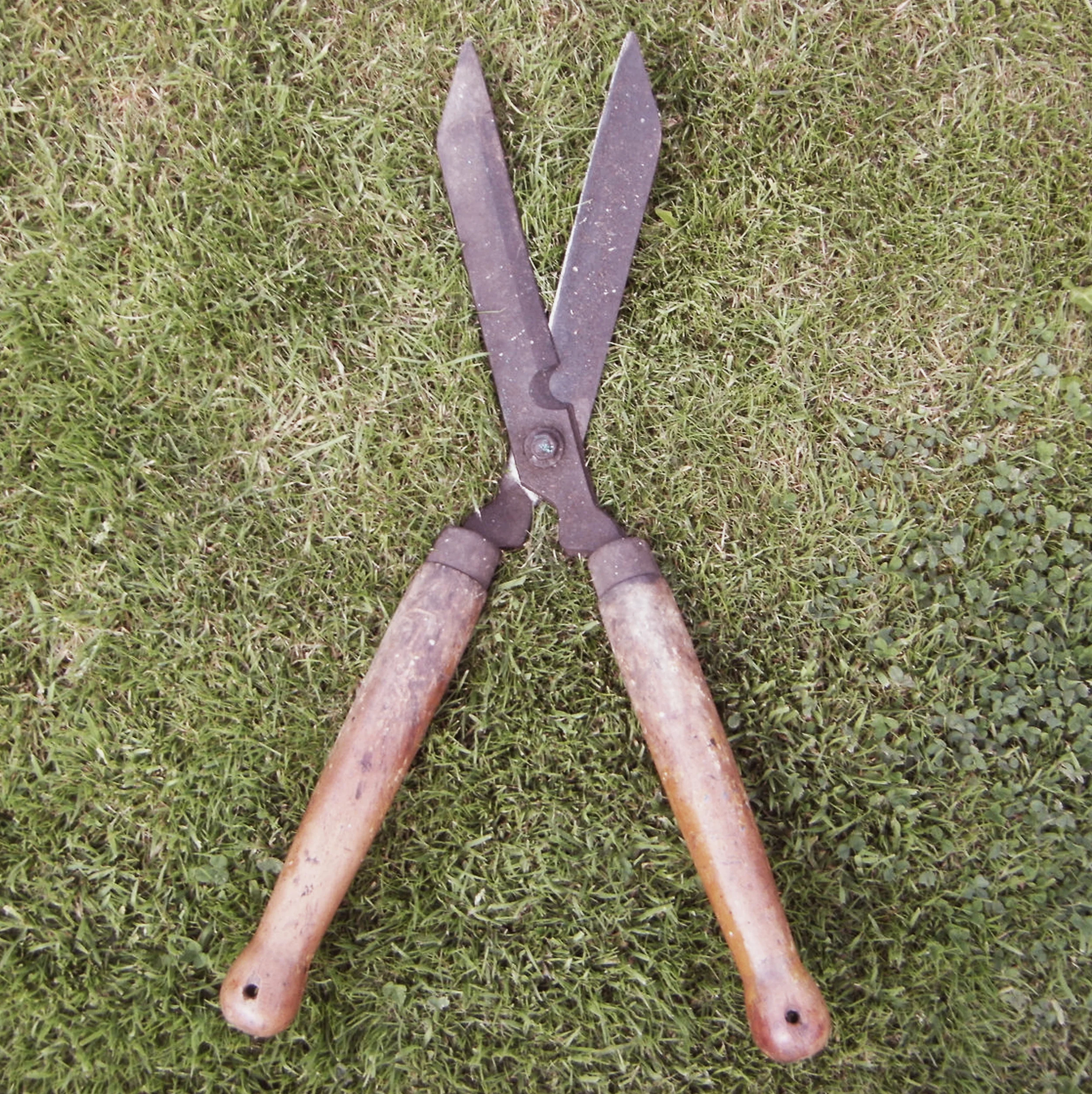 trim.jpg
