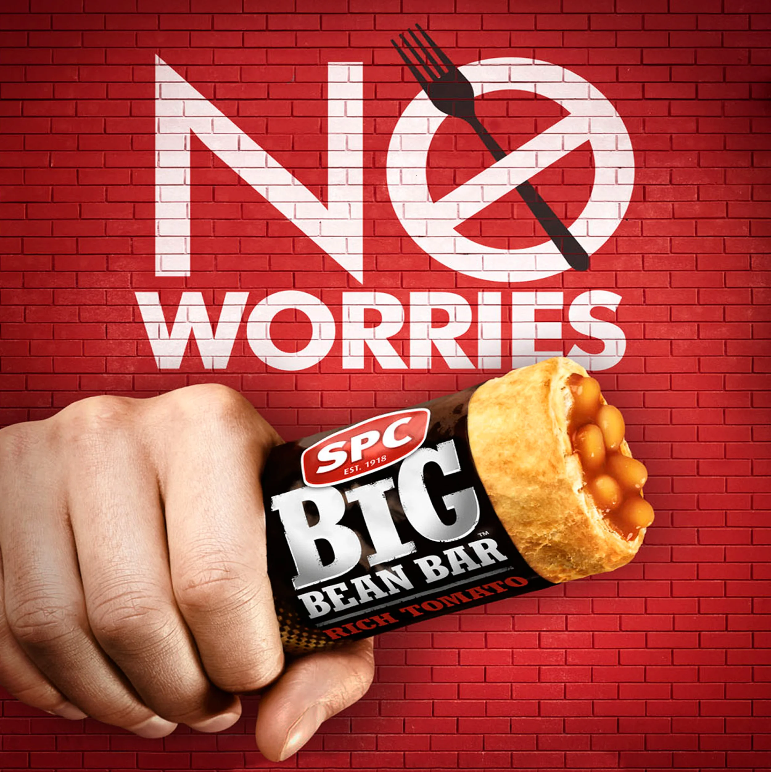 NO FORKING worries.jpg
