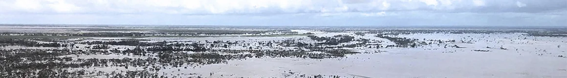 WTDG #231: Mozambique Anthem