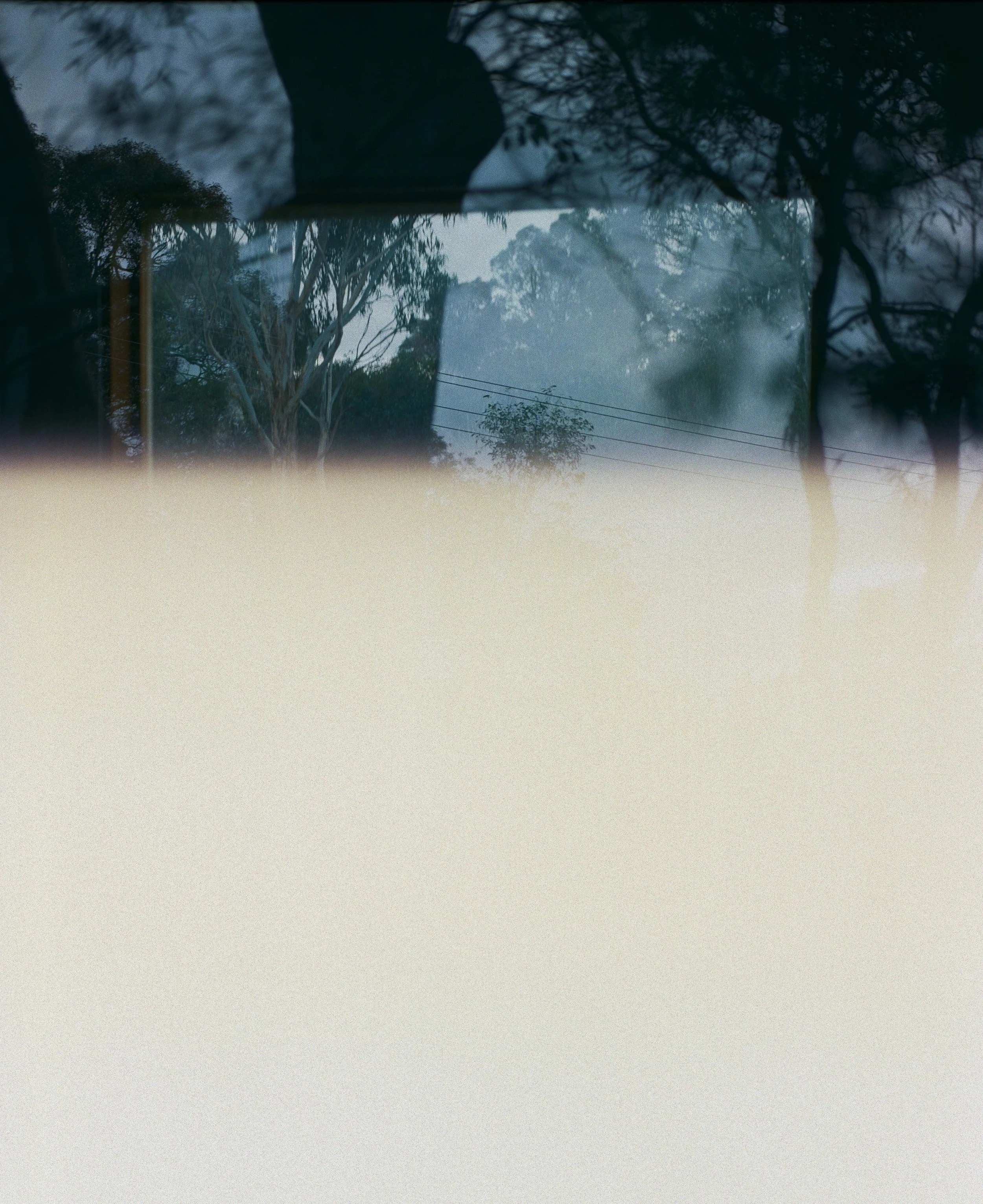    ©    Daniel Hills 2024    
