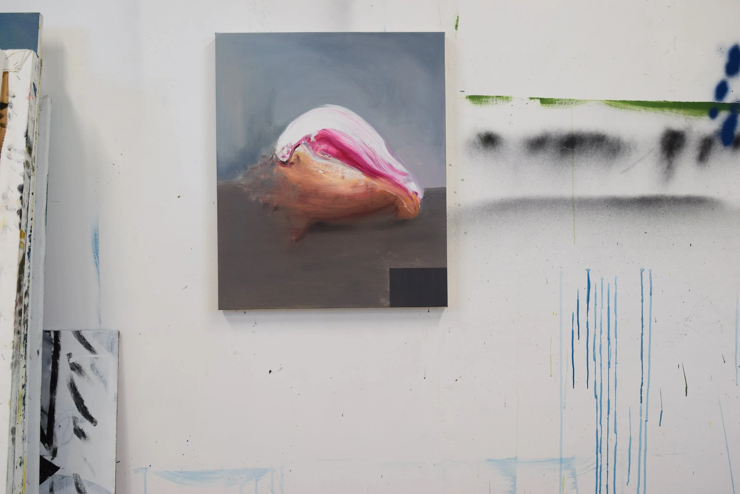  Conch, acrylic on canvas, 2024 