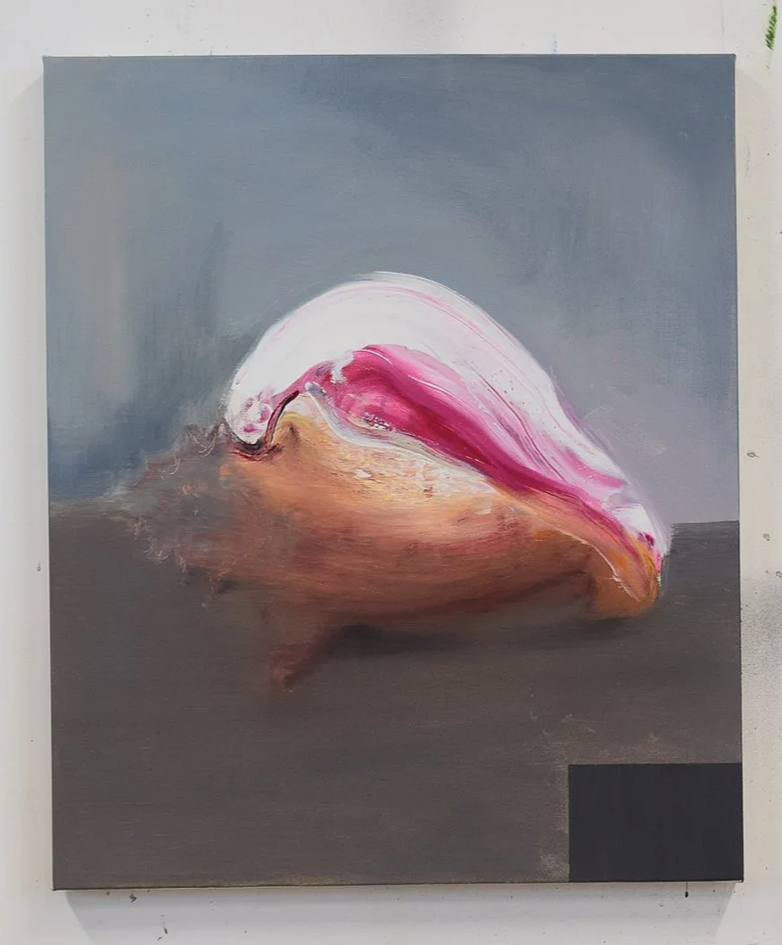  Conch, acrylic on canvas, 2024 