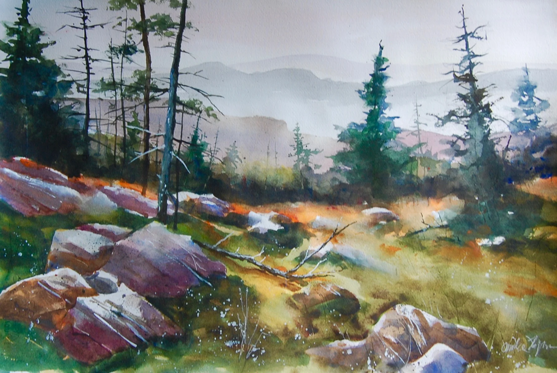 Shenandoah SOLD 22 x 28