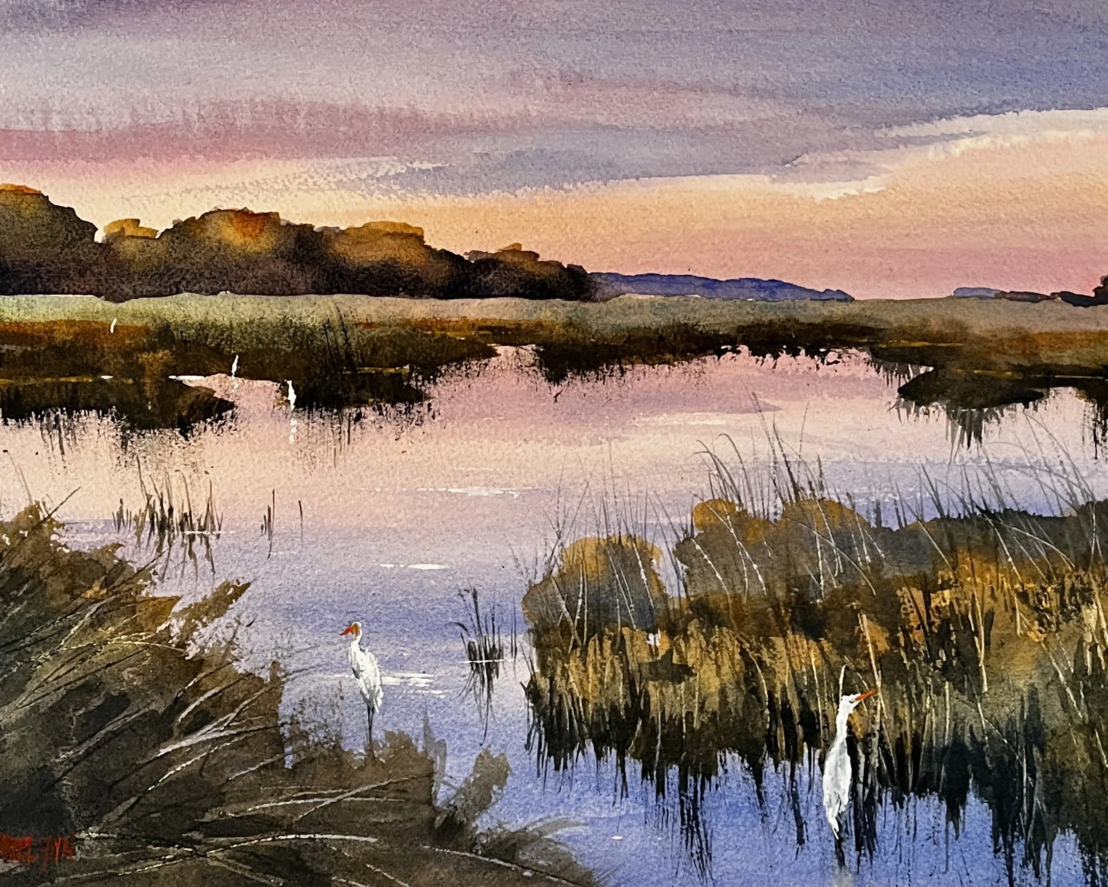 Indian River Wetlands Delaware