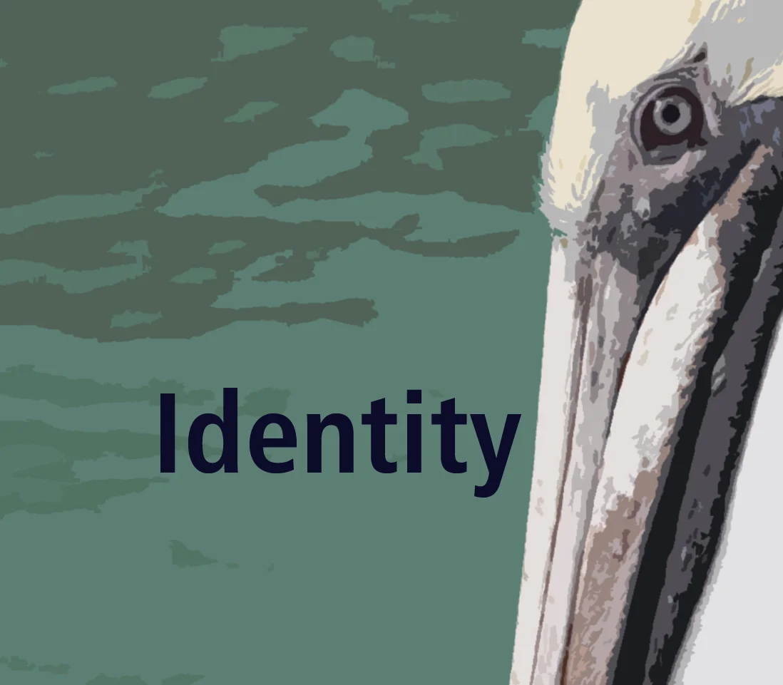 Identity.jpg