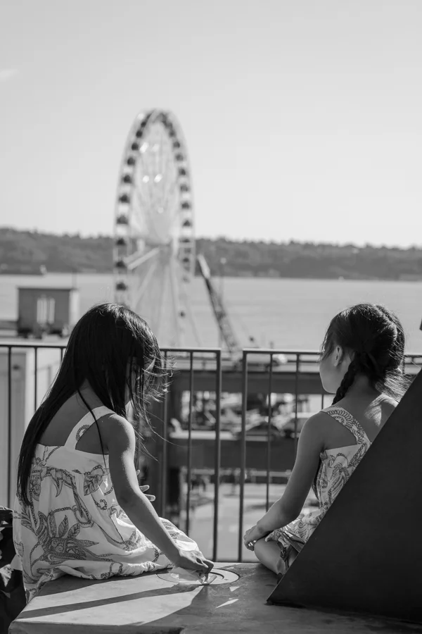 FerrisWheelTwins.jpg