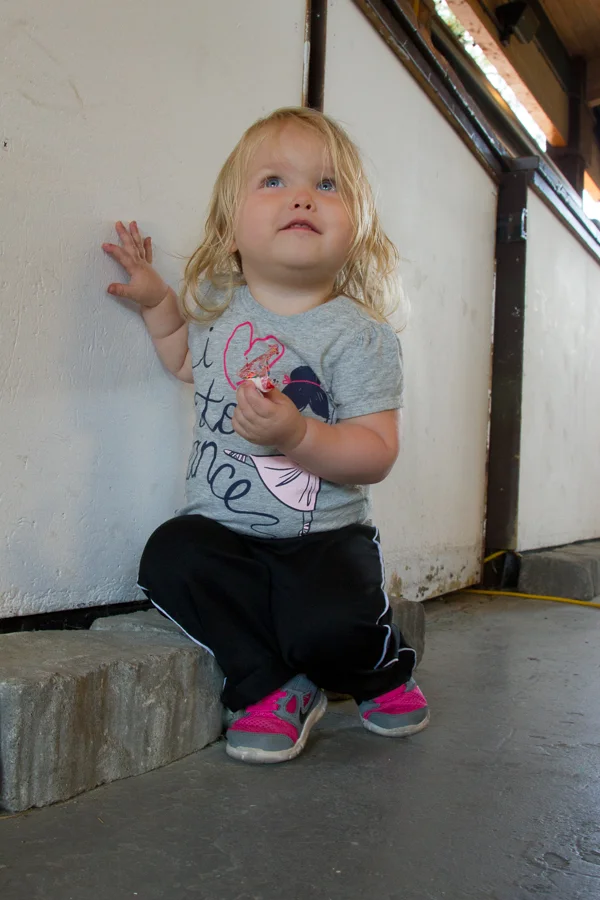 Sun_River_2014-25.jpg