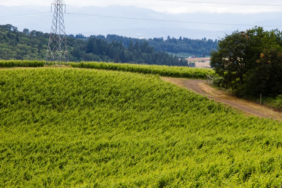 Shannon_BDay_Weekend-13.jpg
