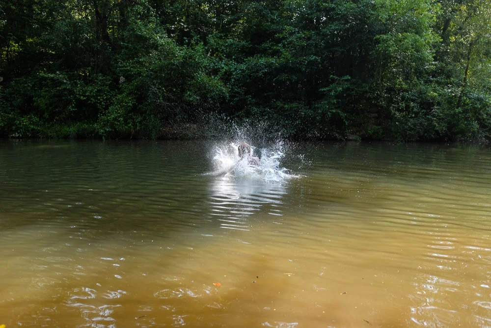 Swim