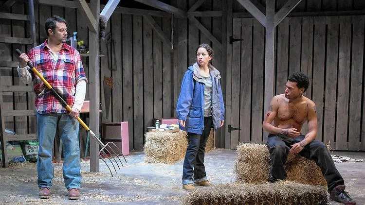 teatrovista-tamerofhorses1-jpg-20141114.jpeg