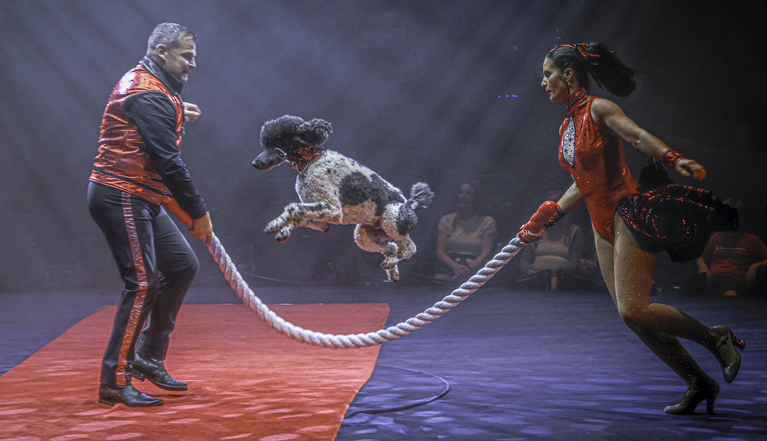 WONDERLAND_Nov23_2025_SHOW_4_TEB_042-2-BSBsm.jpg