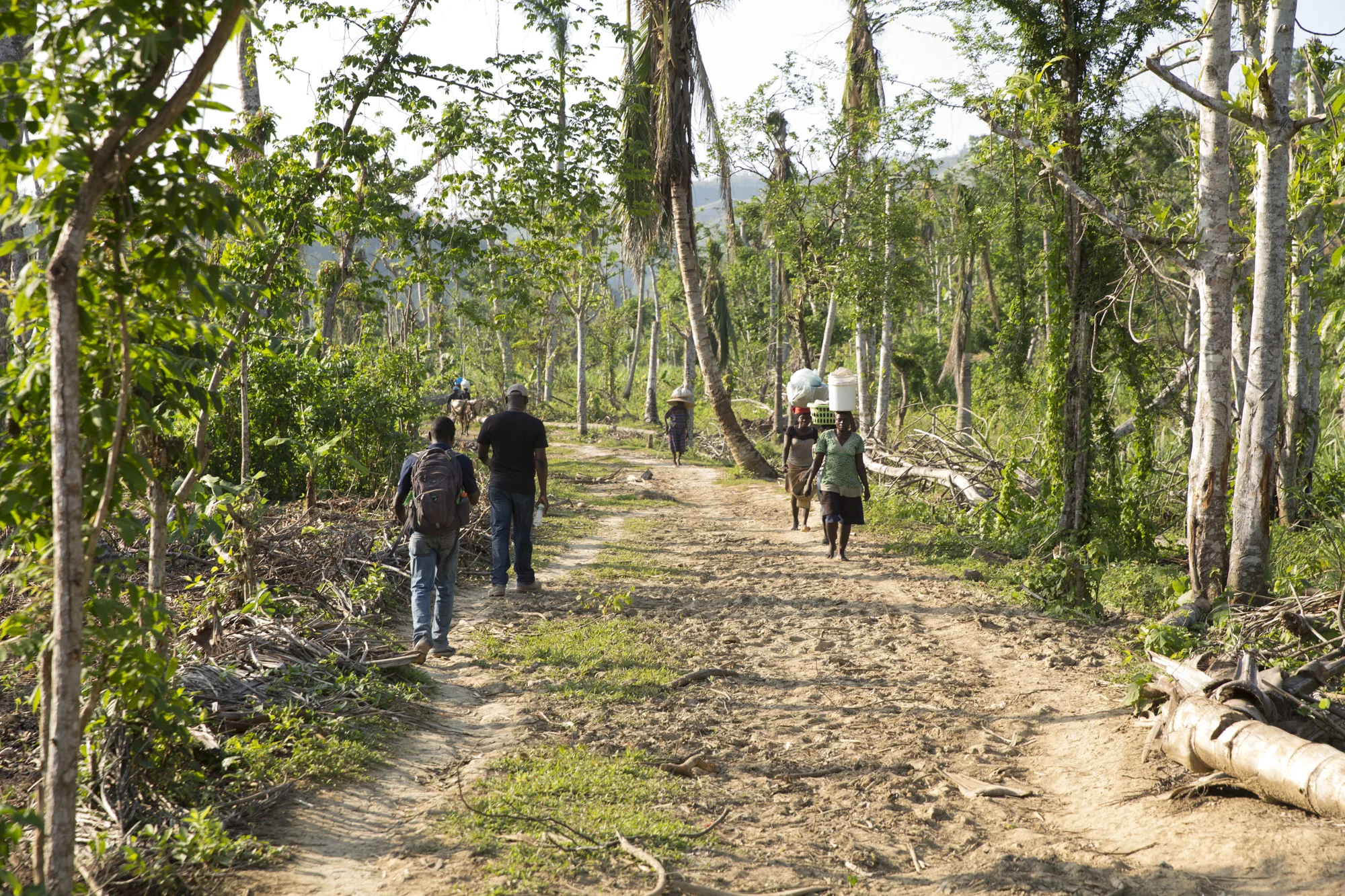 1612_Haiti_Abricots-0256.jpg