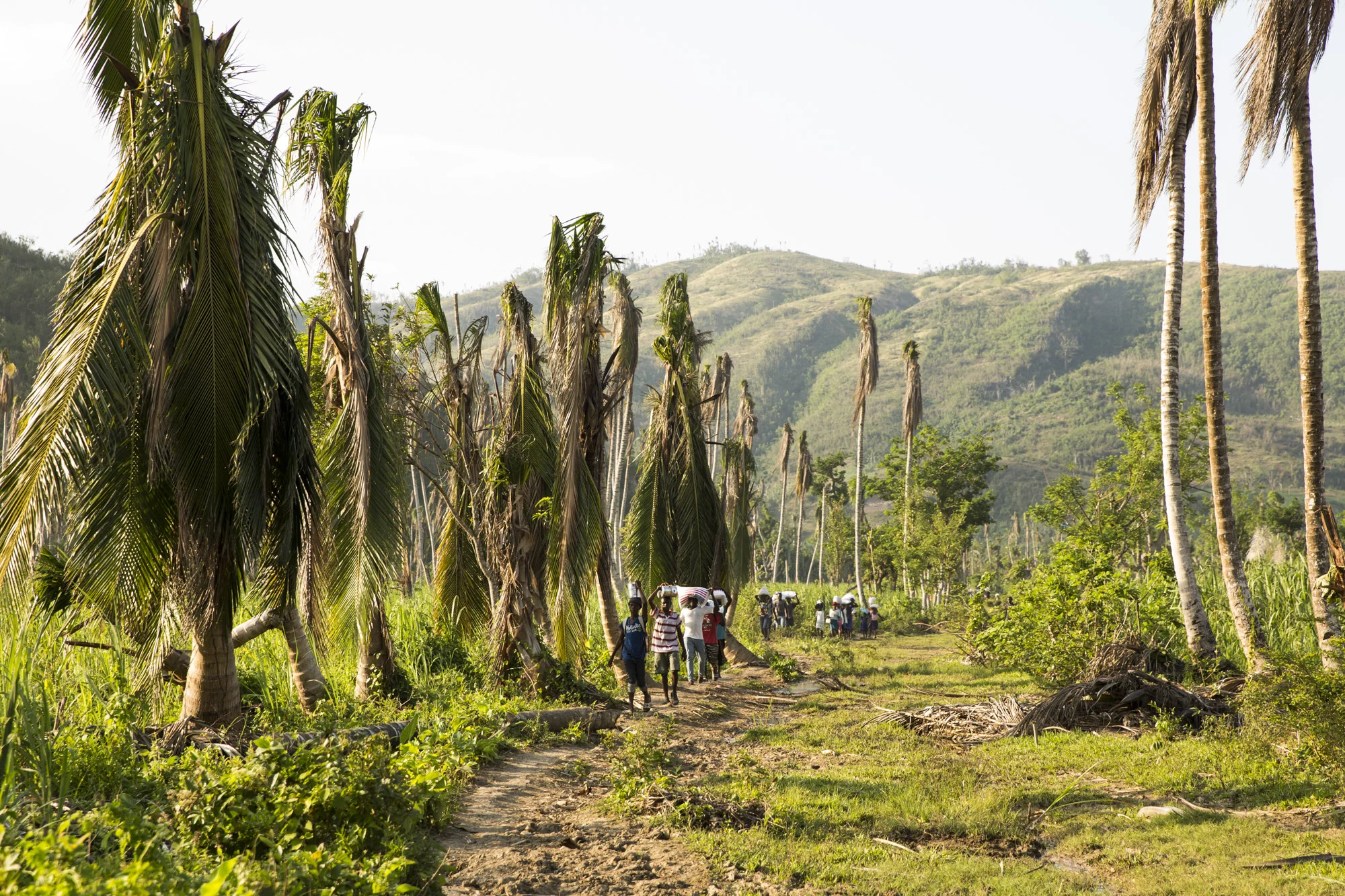 1612_Haiti_Abricots-0264.jpg
