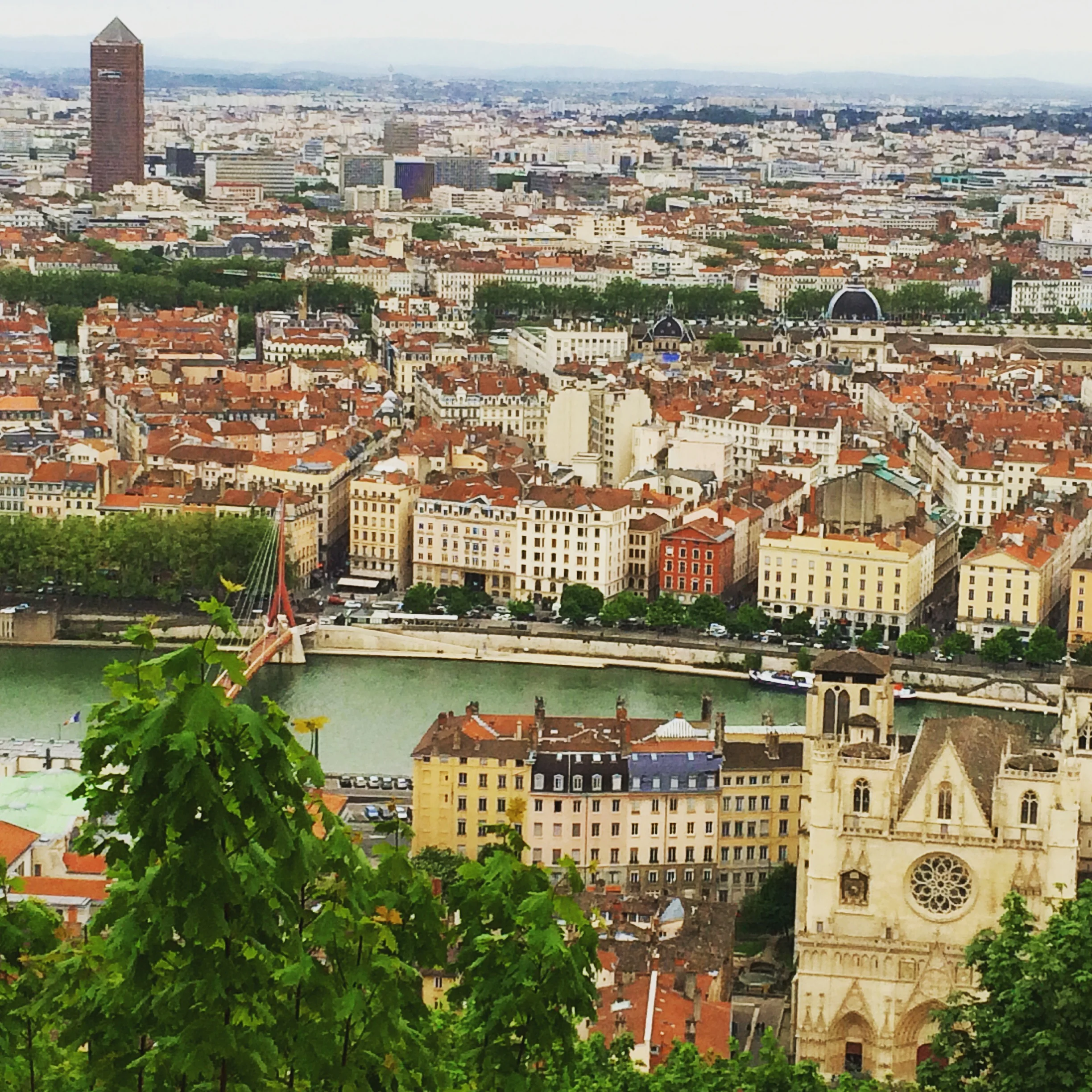 France for the Soul and the Serious Foodie