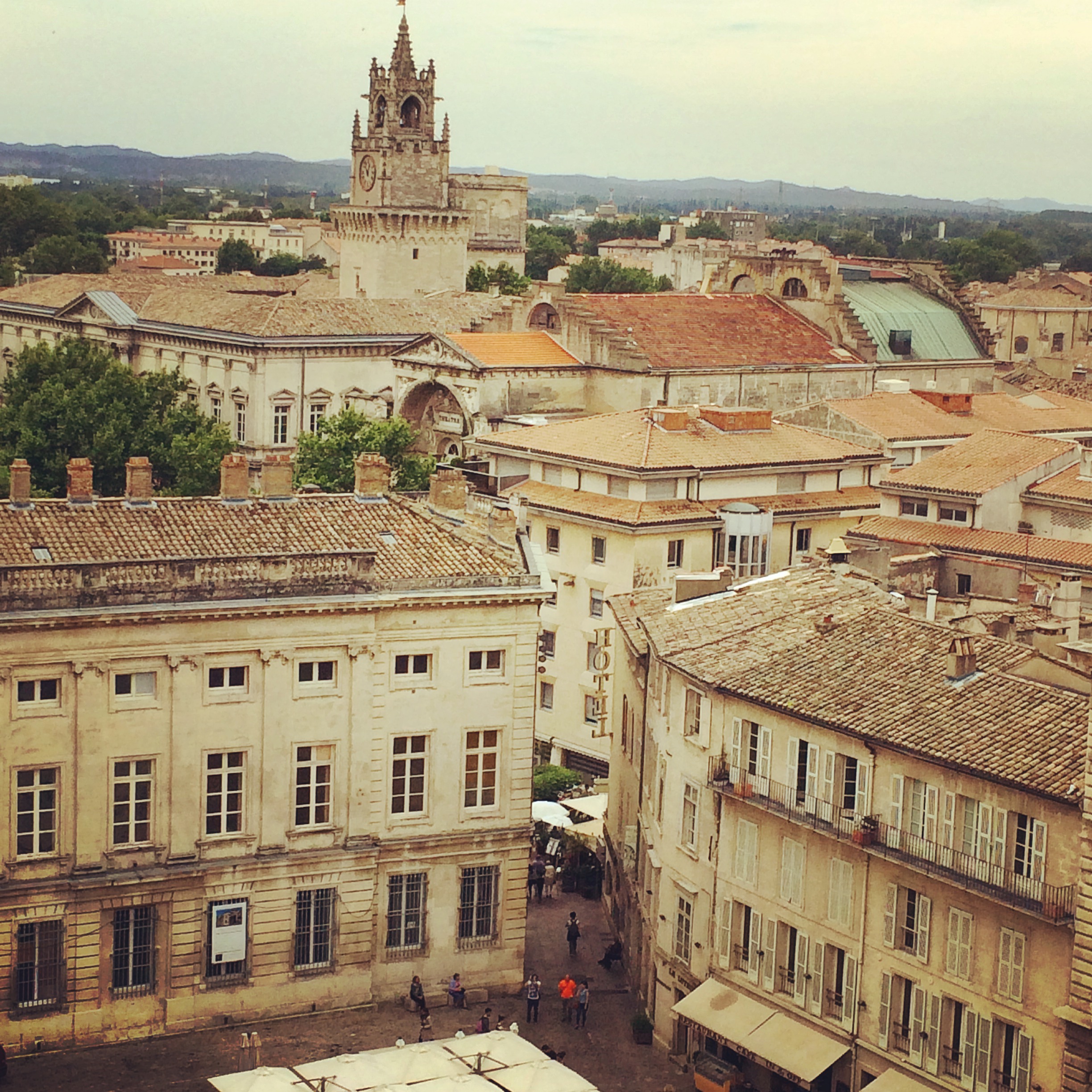 Avignon and Provence, Medieval Beauty in the South of France 