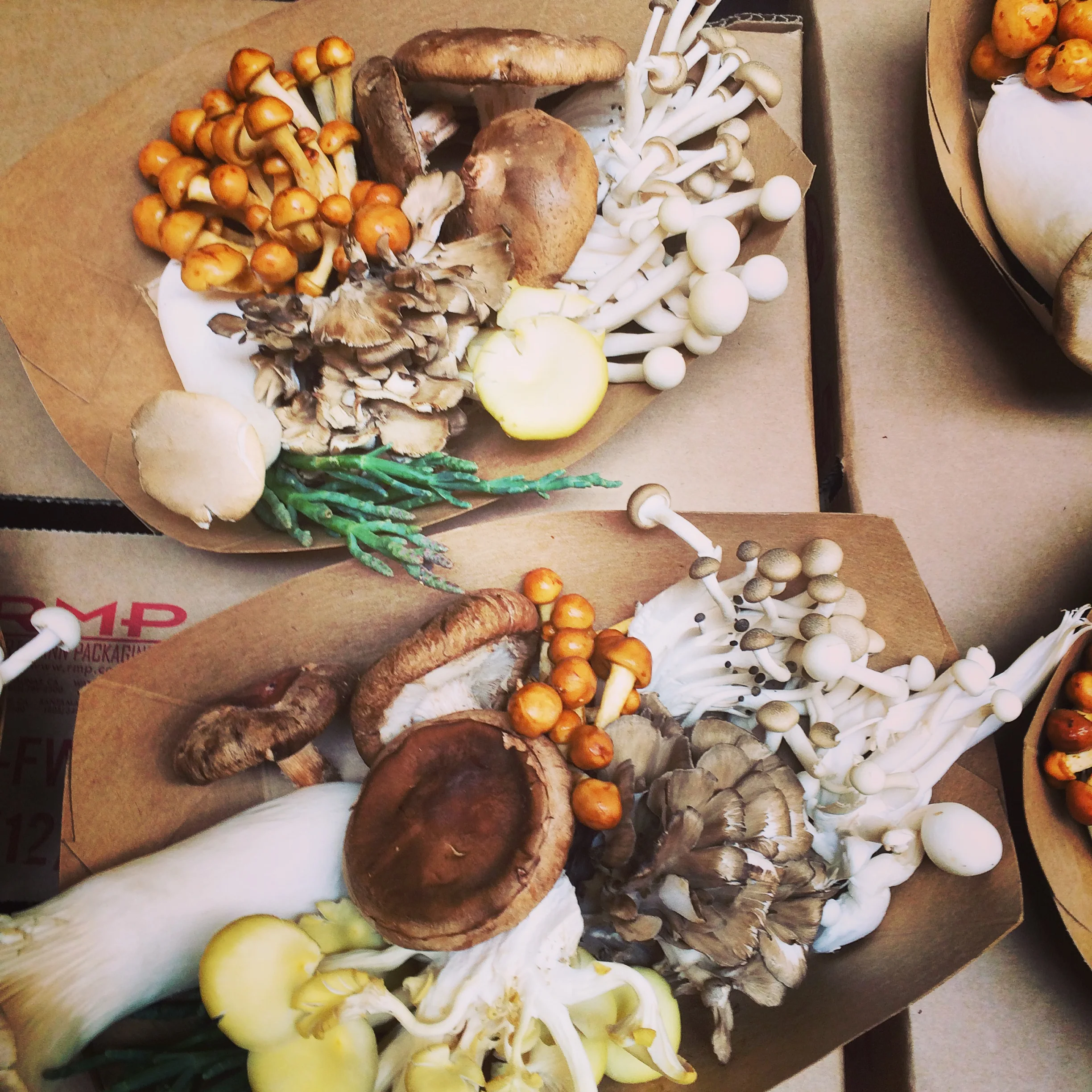 The S.F. MarketPlace - Far West Fungi