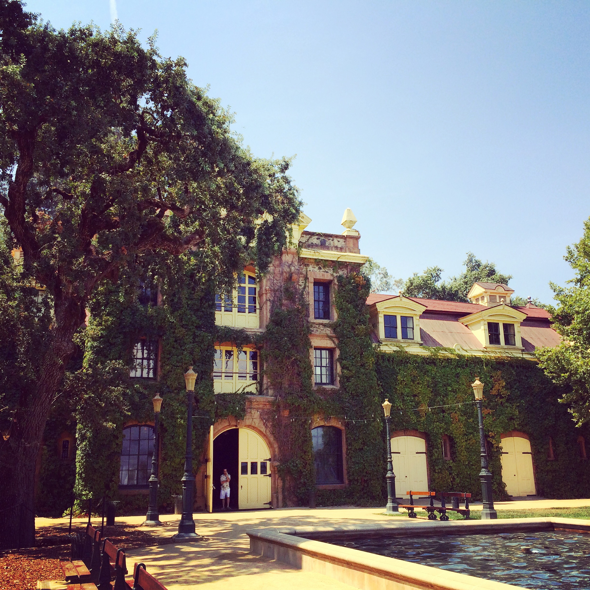 Francis Ford Coppola Inglenook Vineyards