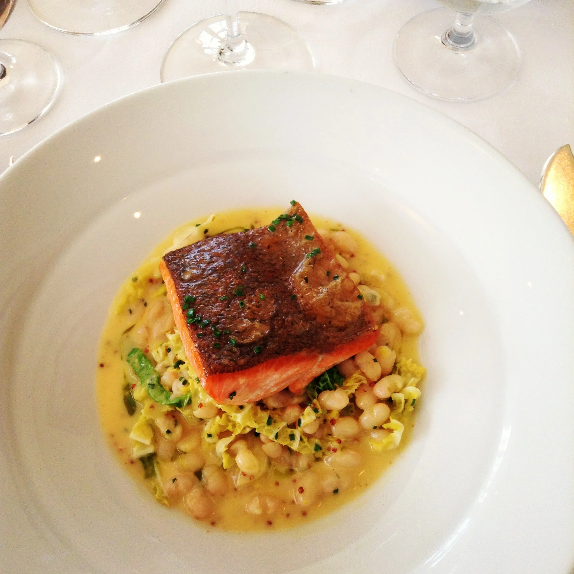 Steelhead Trout