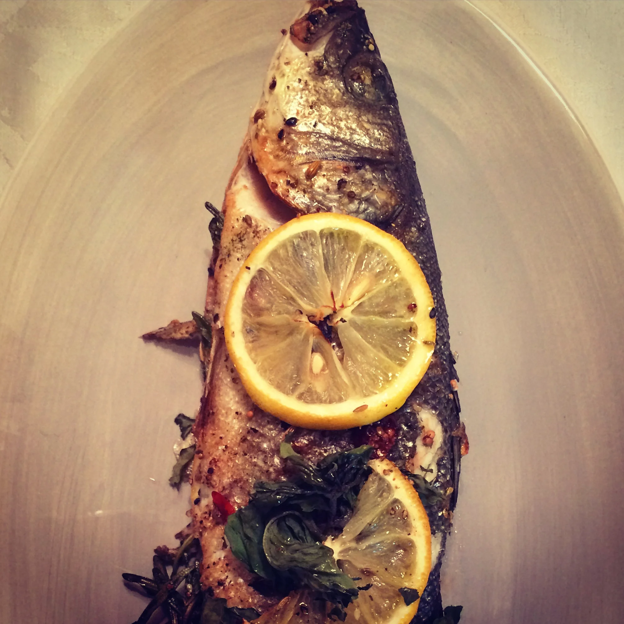 Seabream