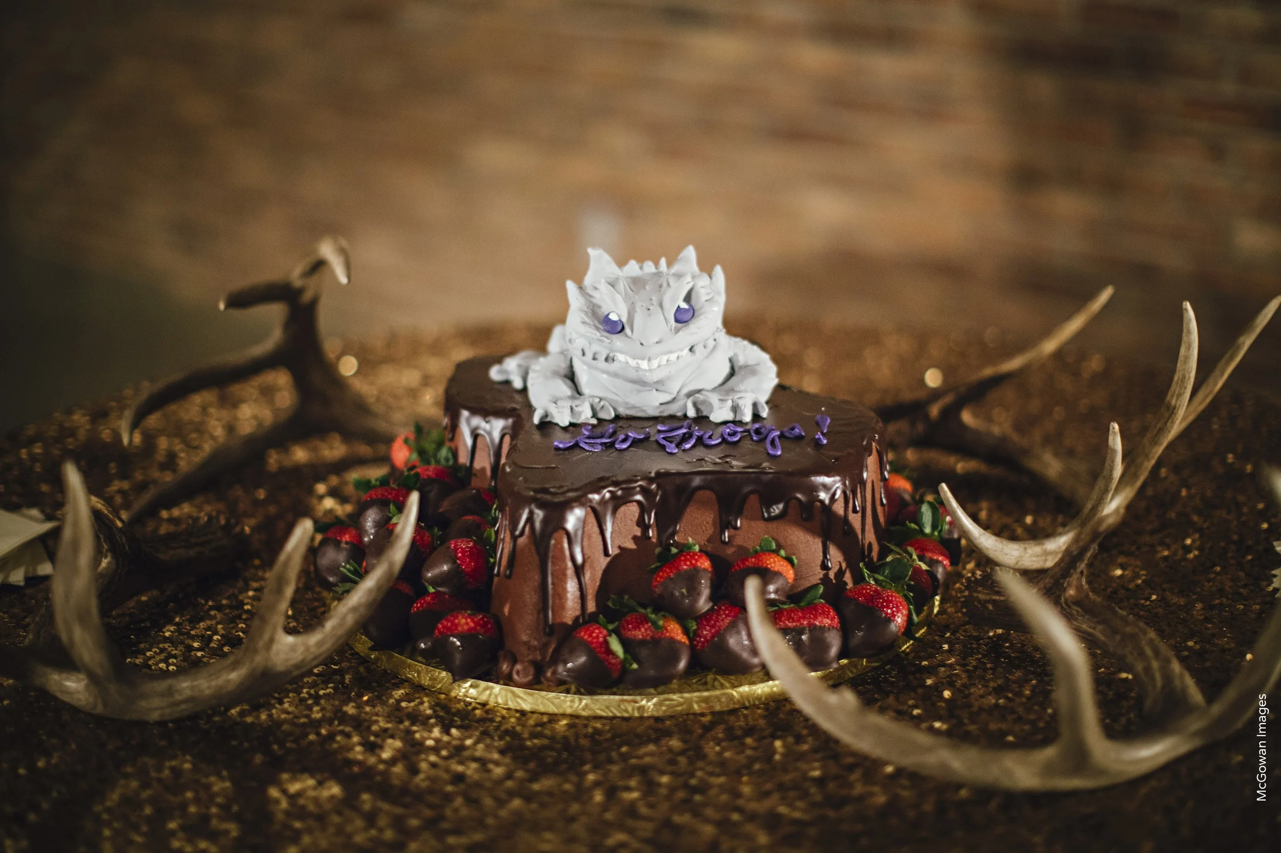 TCU Horned Frog Groom's Cake by Ruth Robbins
