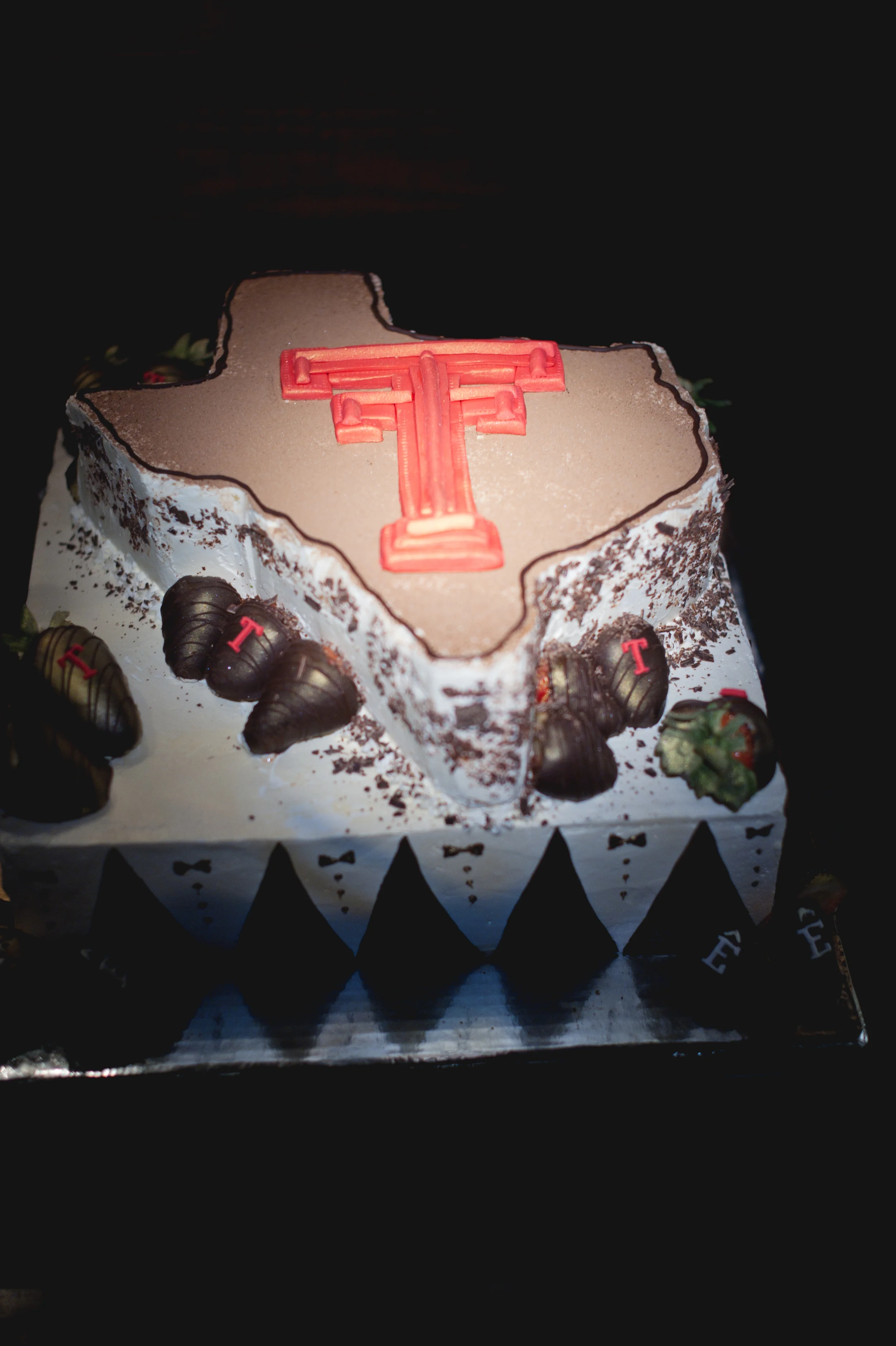 Texas Tech Grooms Cake