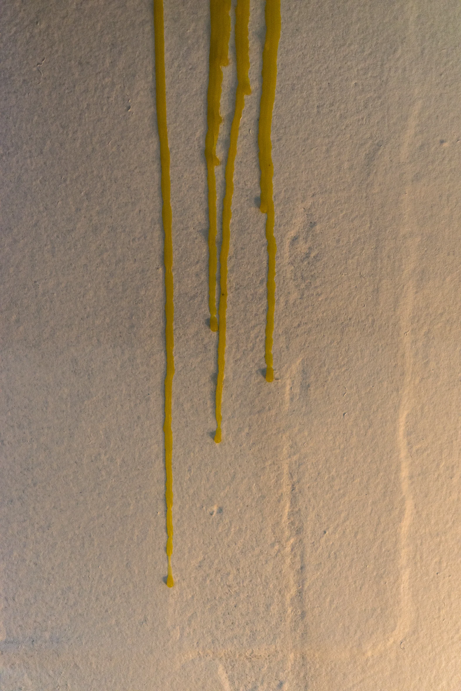 FELT Nov 2018 Screen-55.jpg
