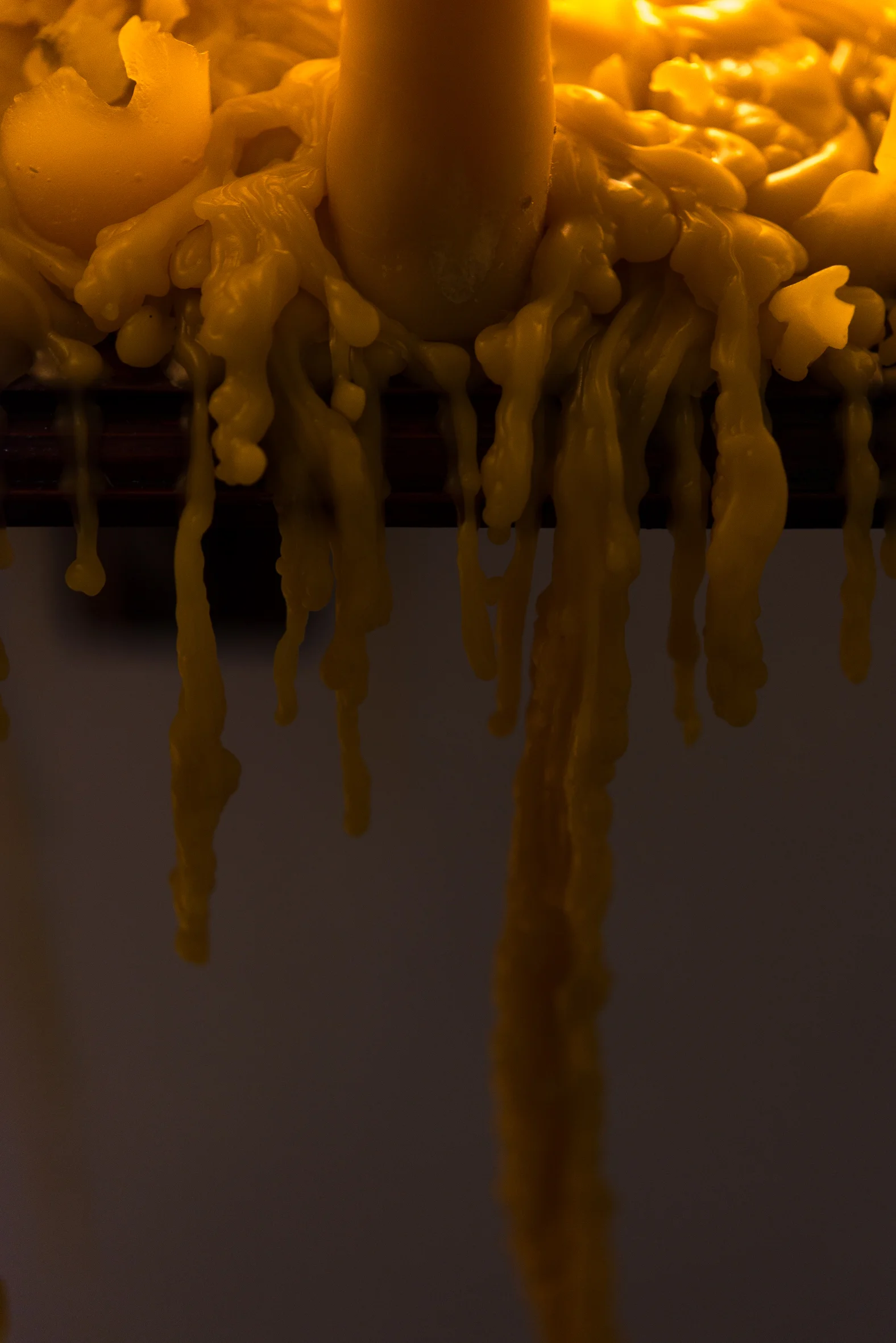 FELT Nov 2018 Screen-76.jpg