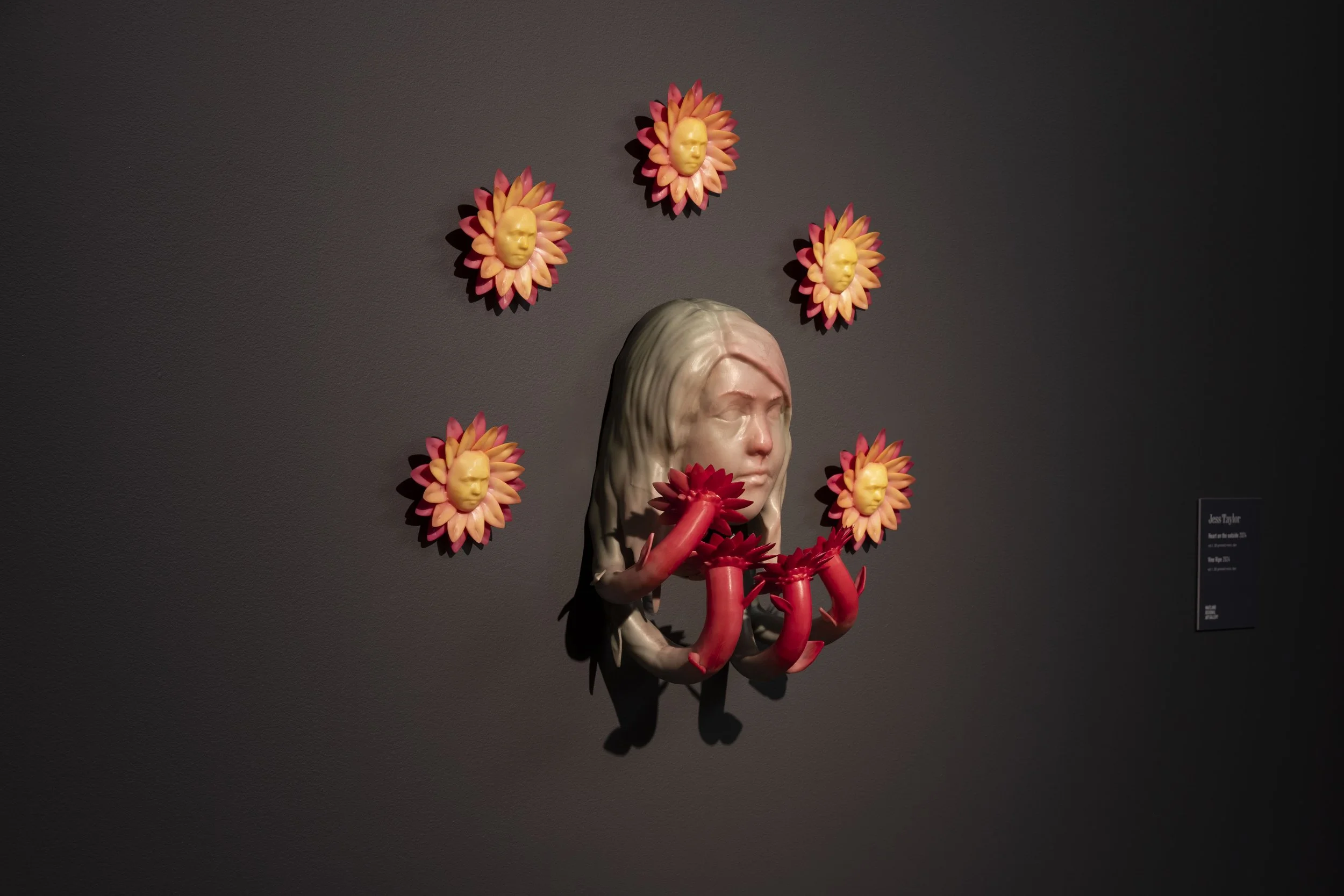 MOTHER LODE by Jess Taylor MRAG Exhibition MED28.JPG