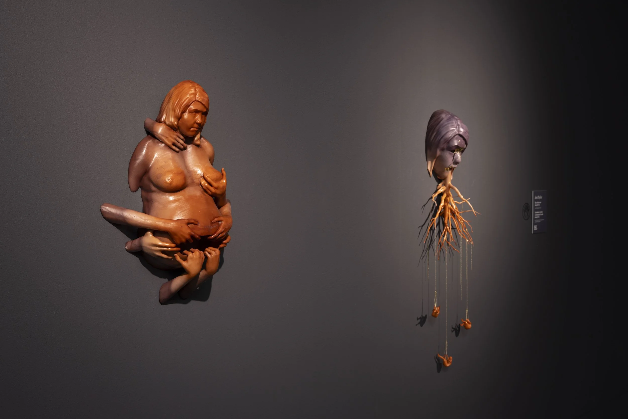 MOTHER LODE by Jess Taylor MRAG Exhibition MED20.JPG