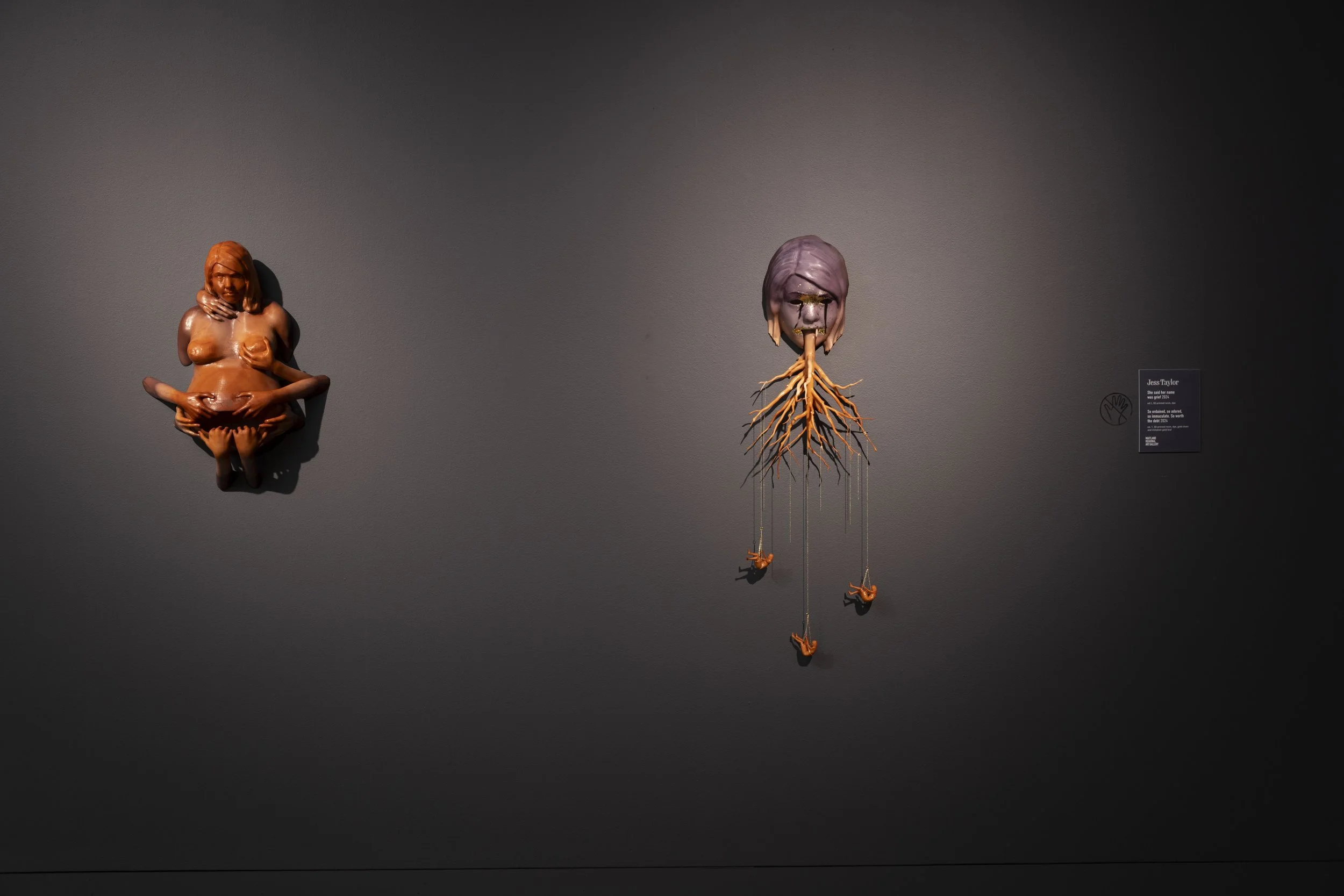 MOTHER LODE by Jess Taylor MRAG Exhibition MED05.JPG