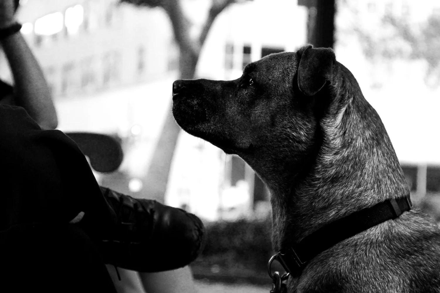 2012_07_14_2133.jpg