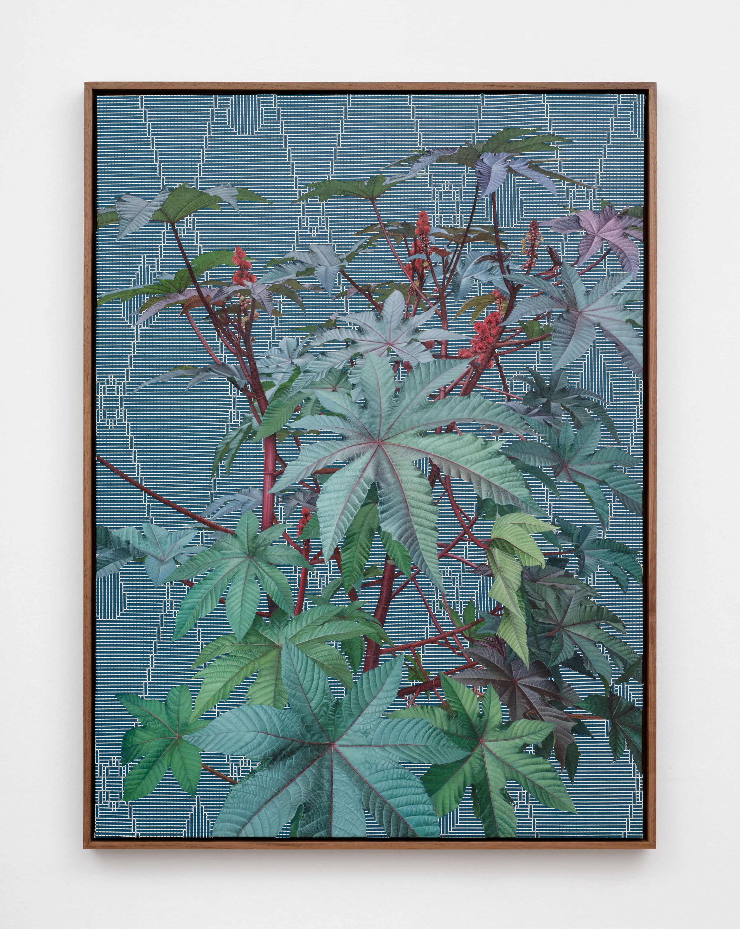   Higuerillas  Intaglio ink on woven paper, acrylic on canvas, walnut frame, 2025  38 x 28 x 1.5 in (97 x 71 x 4 cm) Photo by Paul Salveson 