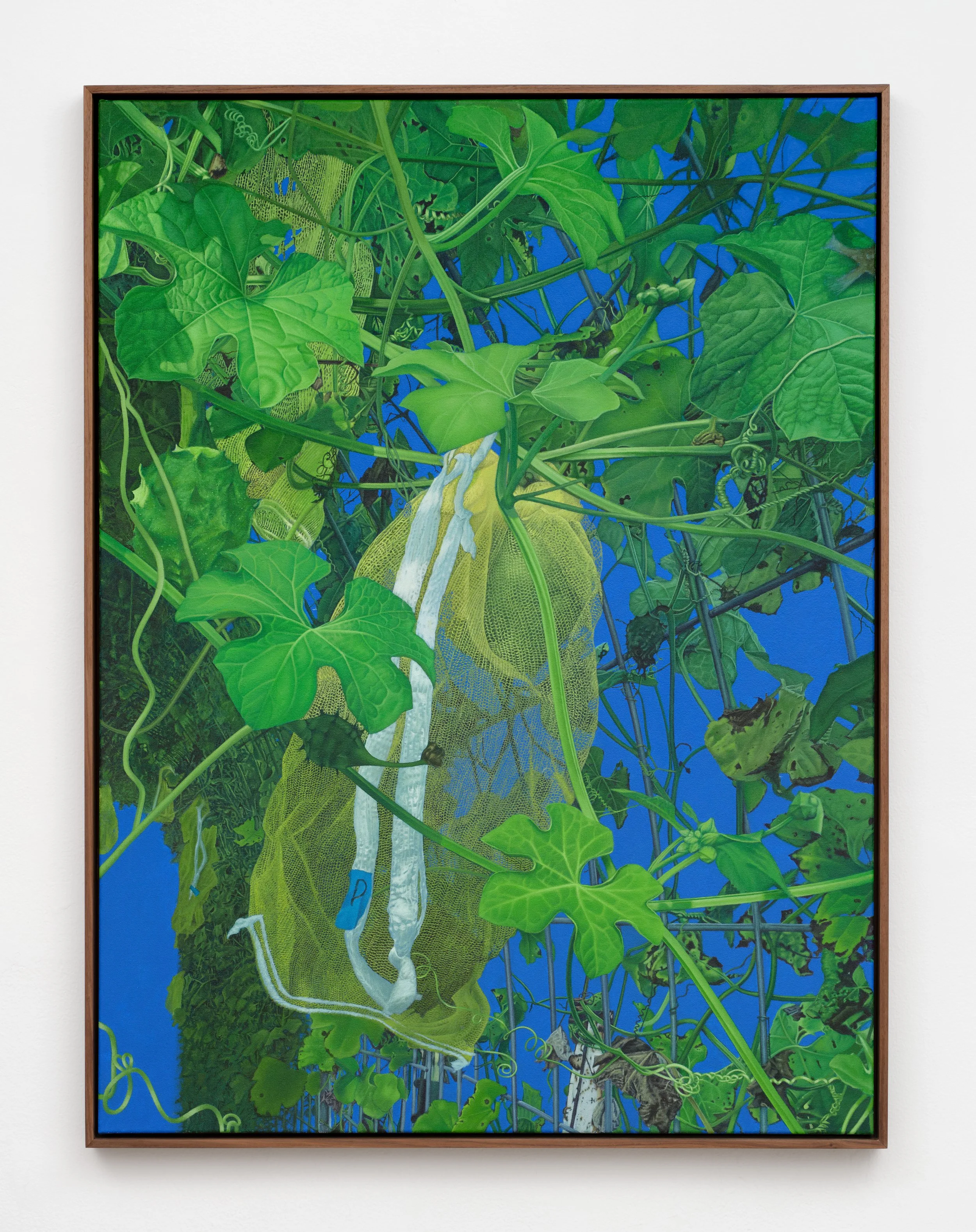   Squash  Acrylic on canvas, walnut frame, 2025  48 x 36 x 1.5 in (122 x 91 x 4 cm) Photo by Paul Salveson 