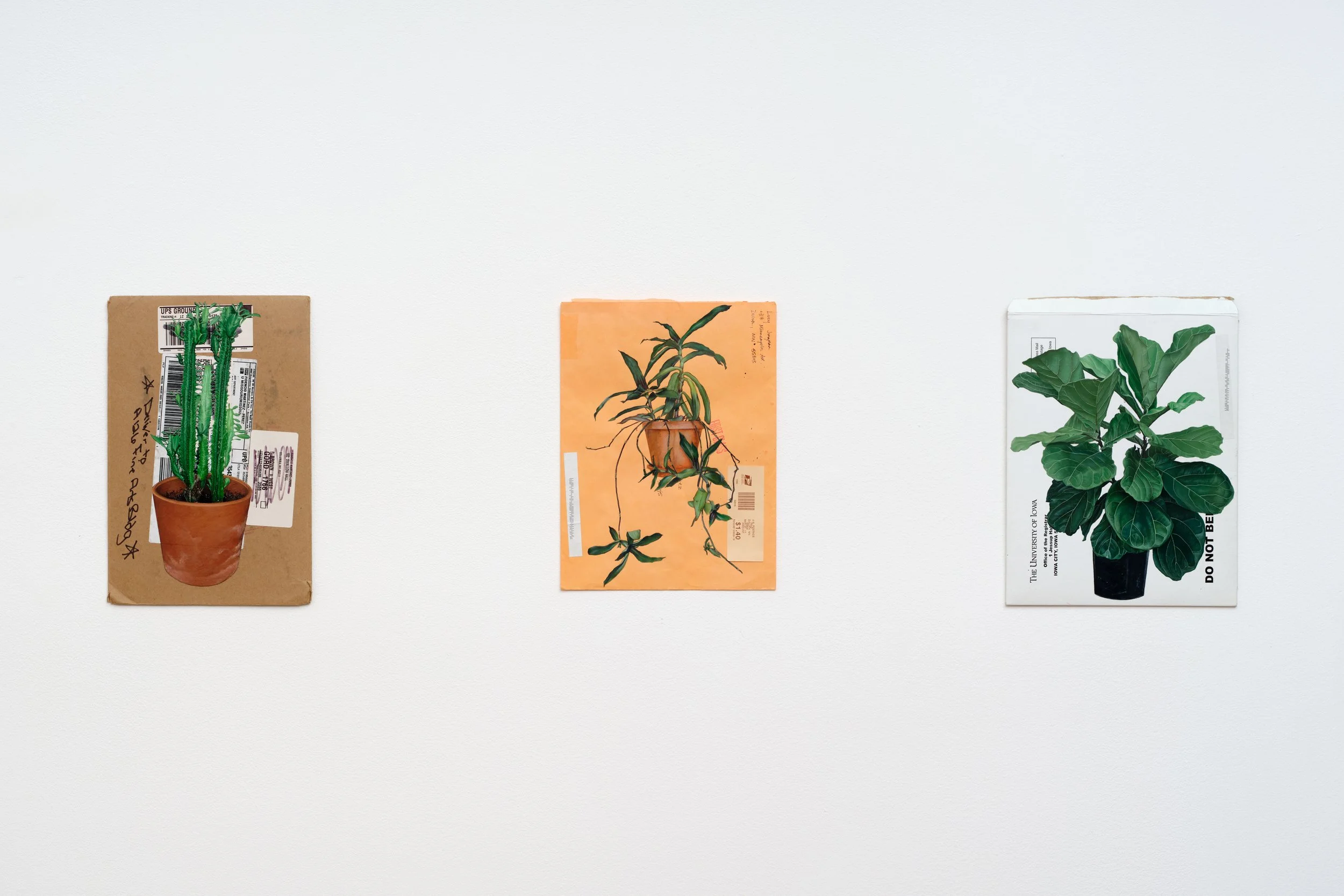   dacaments: 29, 13, 14  (2017-23) Acrylic on envelope 13 x 8.5 in (33 x 22 cm); 12 x 9 in (30 x 23 cm); 13 x 9.75 in (33 x 25 cm)  Photo: Paul Salveson 