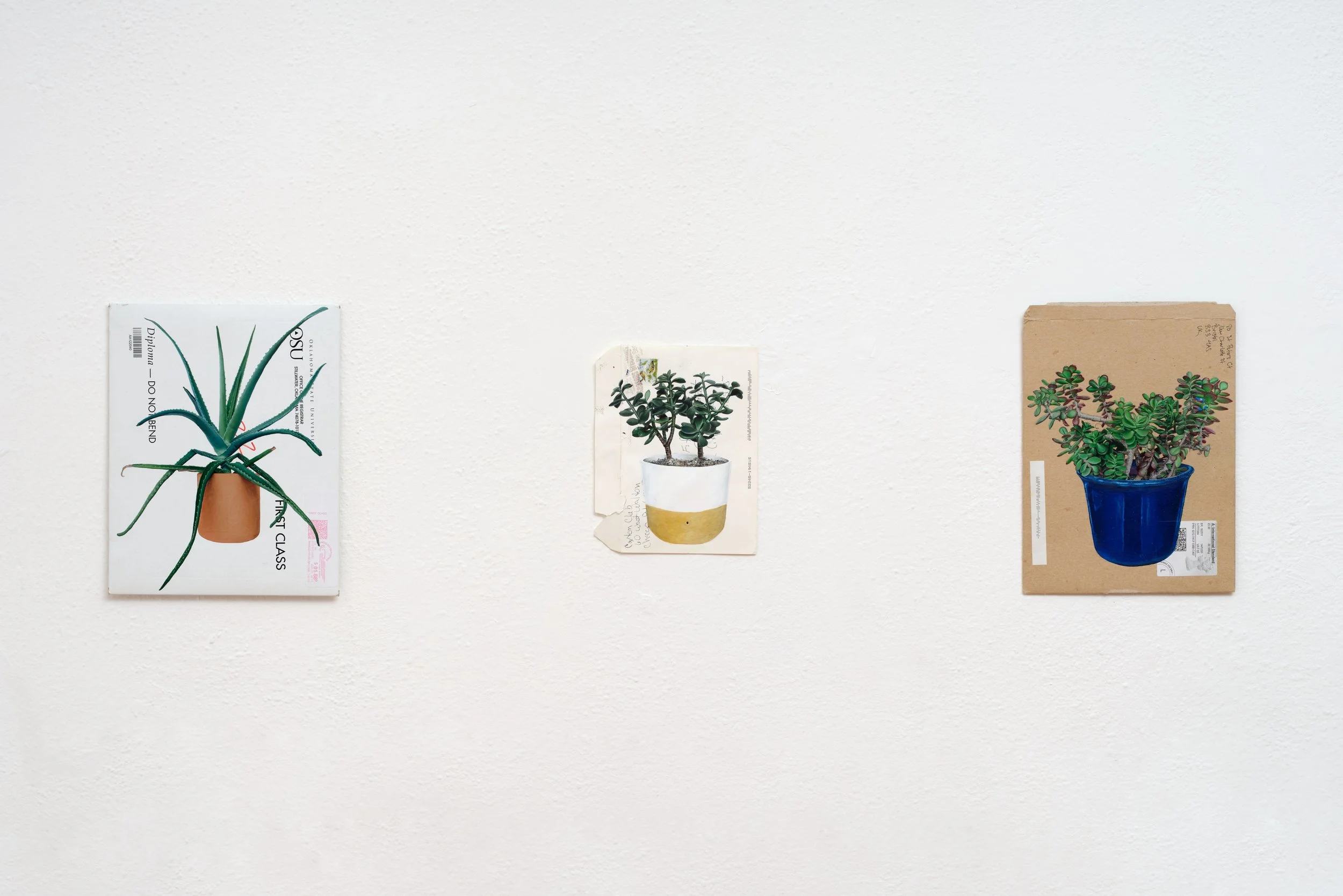   dacaments: 27, 06, 24  (2017–22) Acrylic on envelope 12.25 x 9.75 in (31 x 25 cm); 8.75 x 6.75 in (22 x 17 cm); 12 x 9 in (30 x 23 cm)  Photo: Paul Salveson 