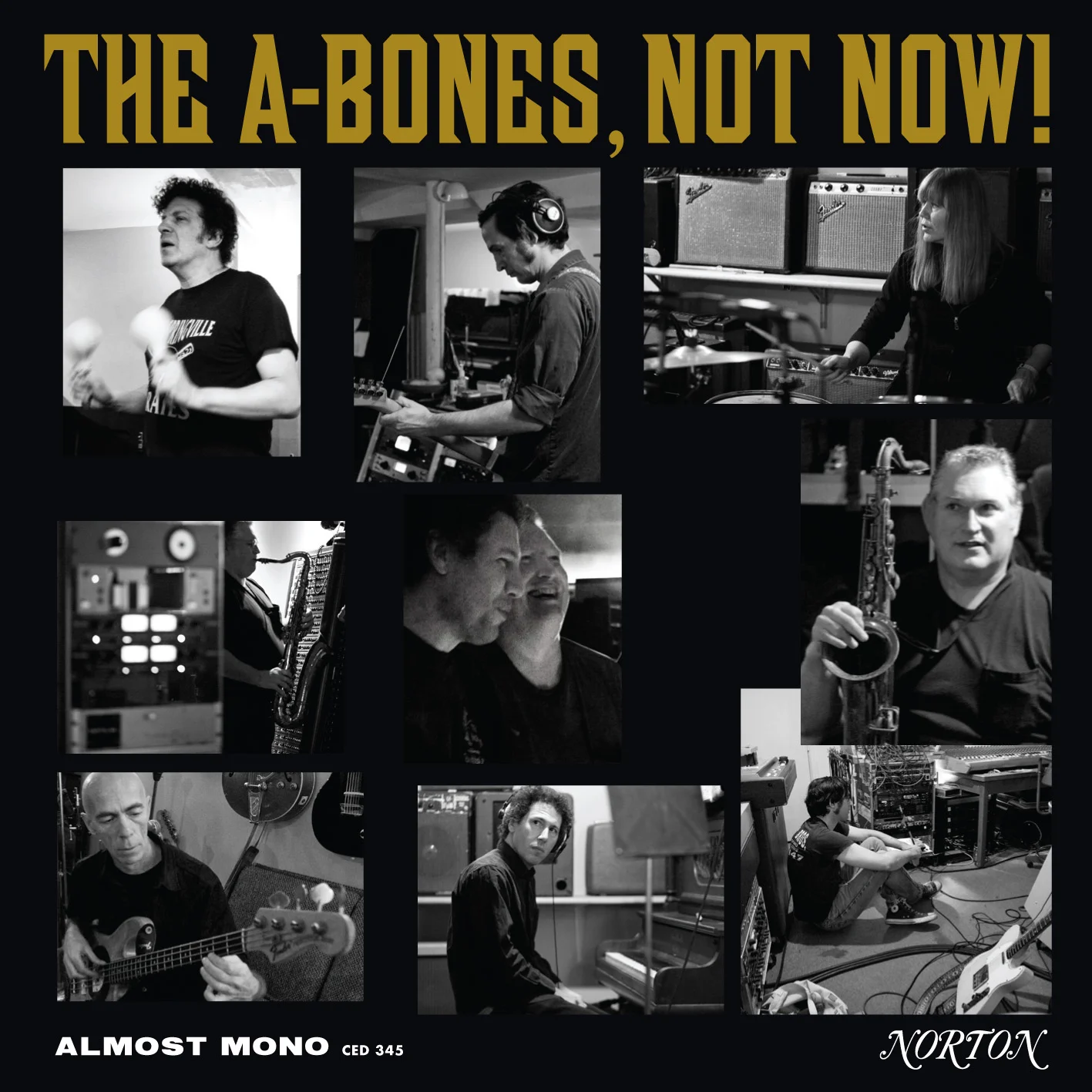 The A-Bones - Not Now LP/CD cover
