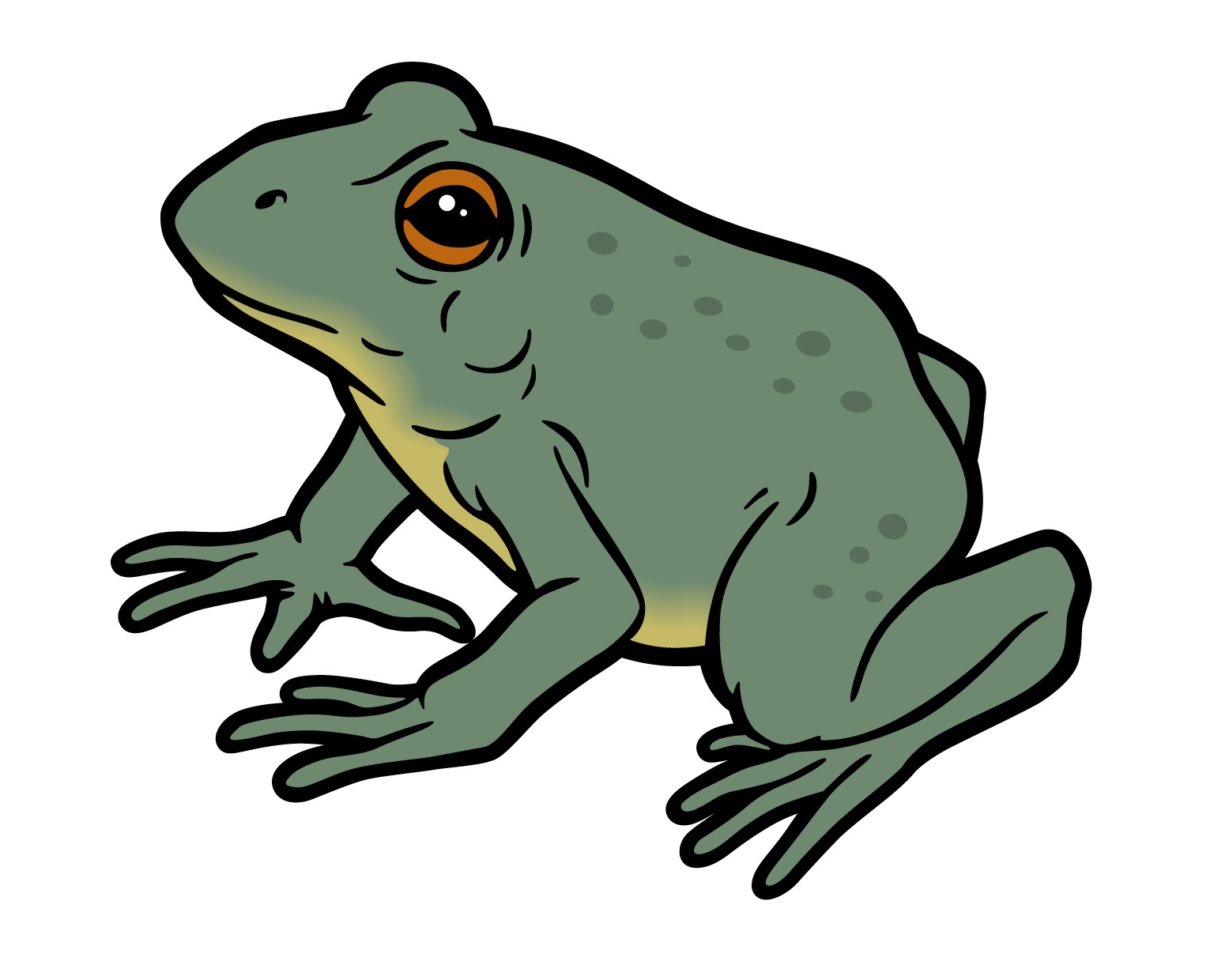 Frog