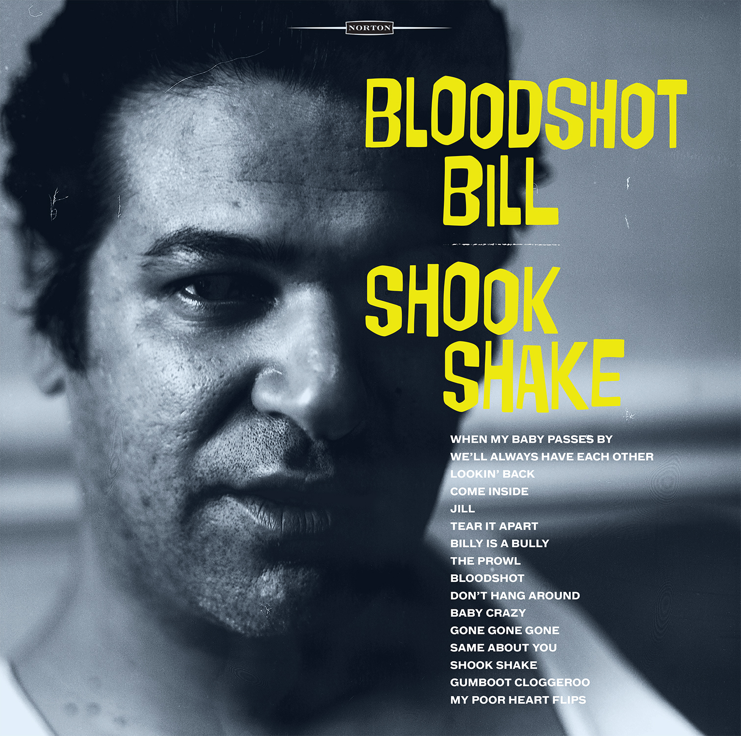 Bloodshot Bill - Shook Shake LP sleeve