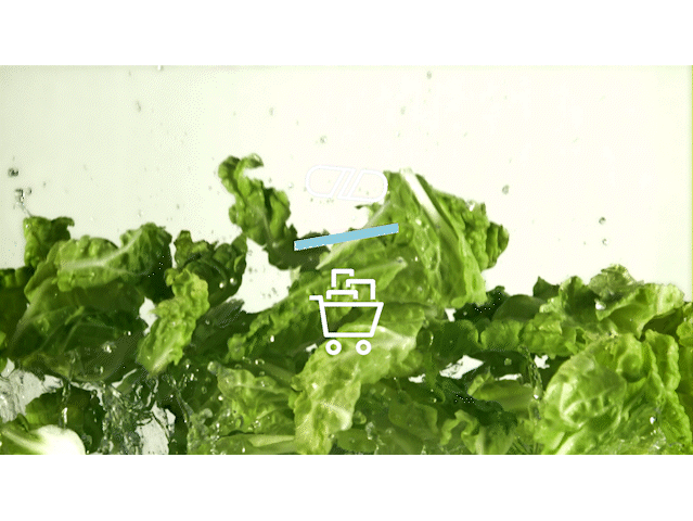 COMP-lettuce-leaves-with-splashes-of-water-fly-up-and-r-2022-06-24-15-53-43-utc.gif