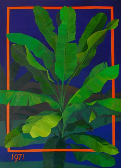 1971 Musaceae