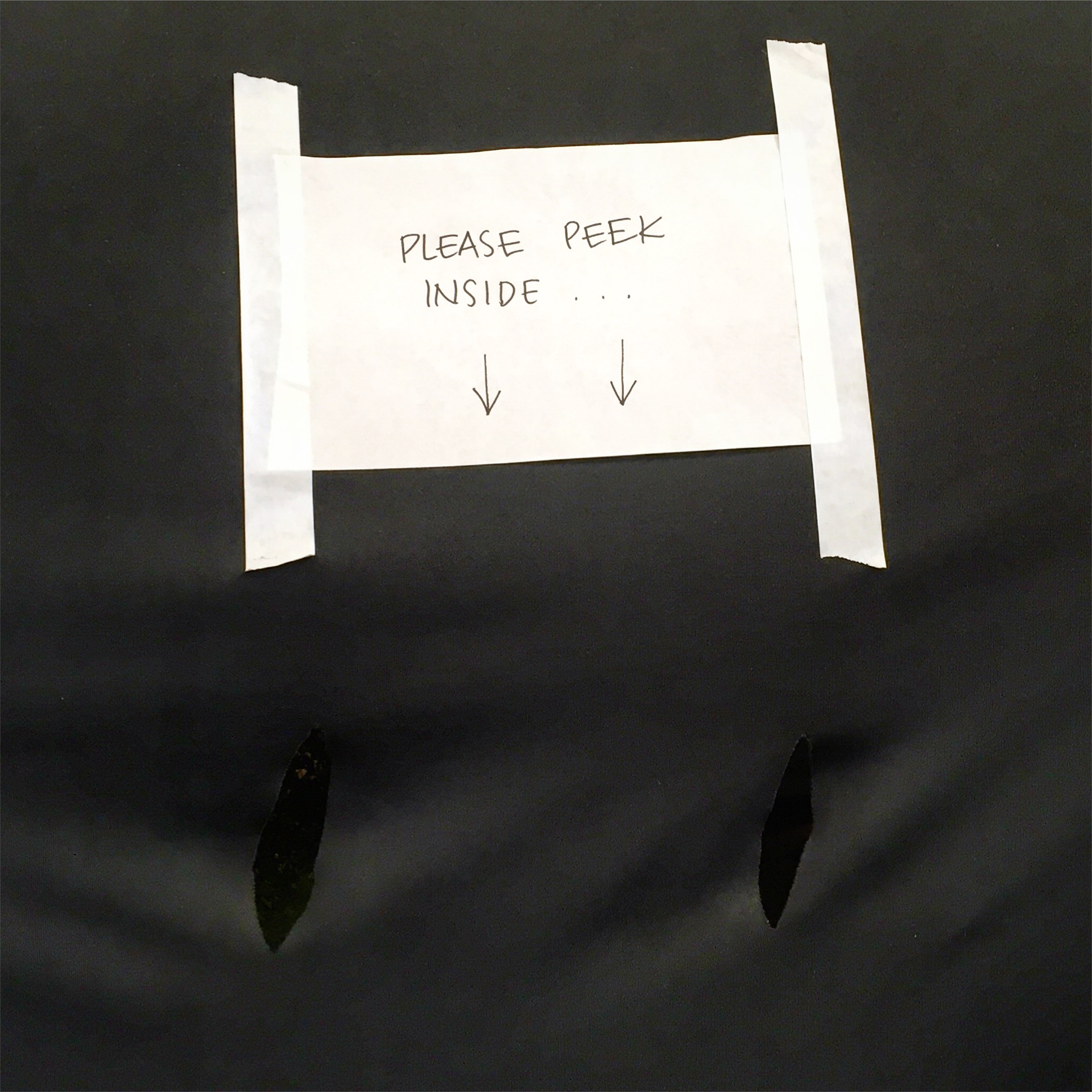 I still have the miniature house in my studio, but I made people peek through these little holes to see it...