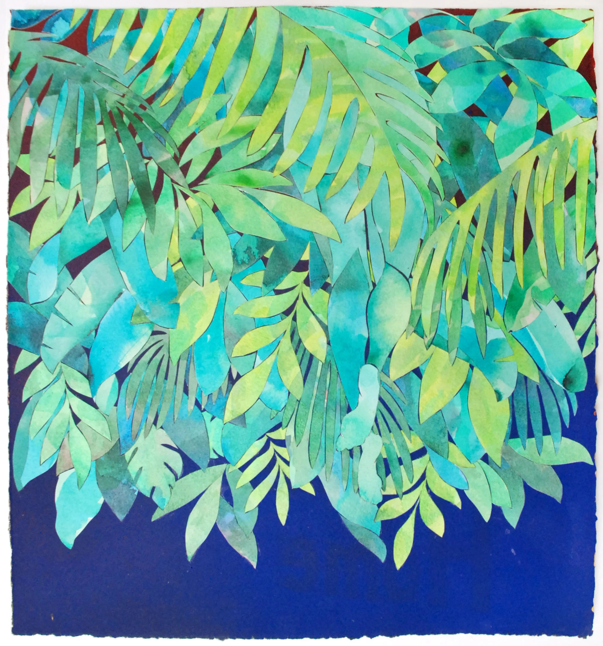 ATarver - Canopy.JPG