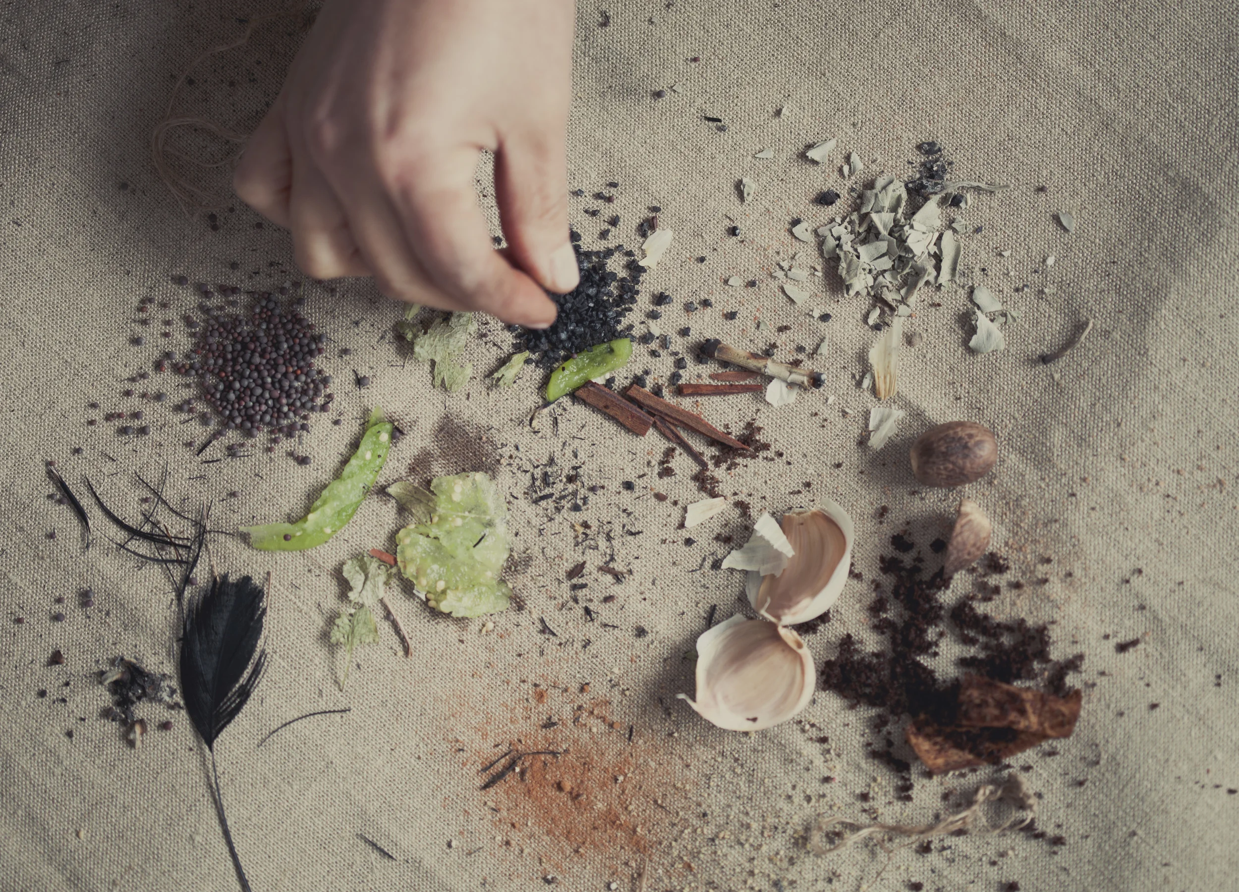... and following our senses through every twist and turn.