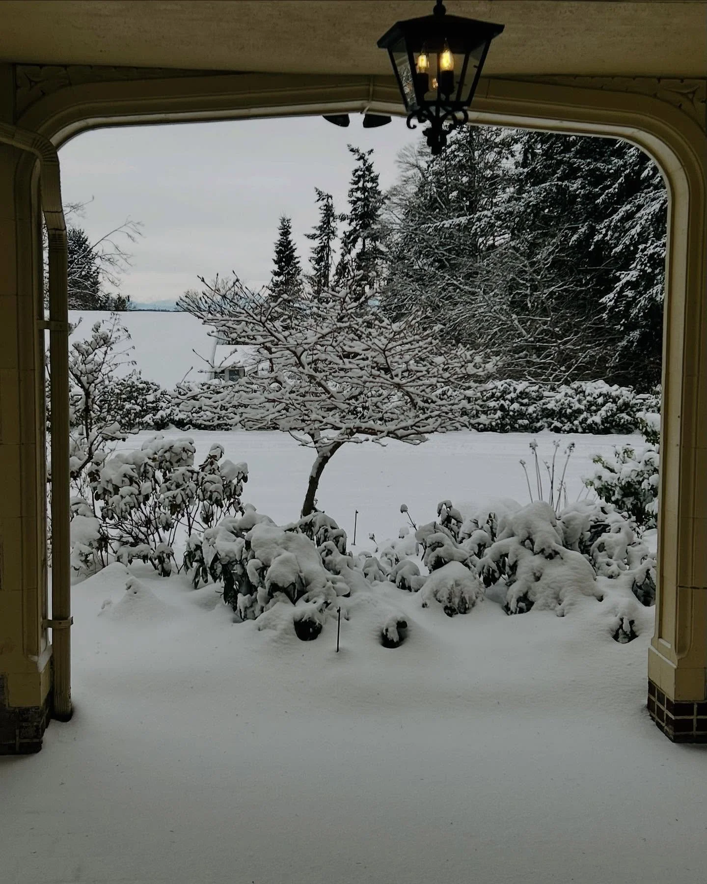 February snow at Lairmont Manor ❄️☃️✨ #lairmontmanor #snowdays #february #historiclandmark
