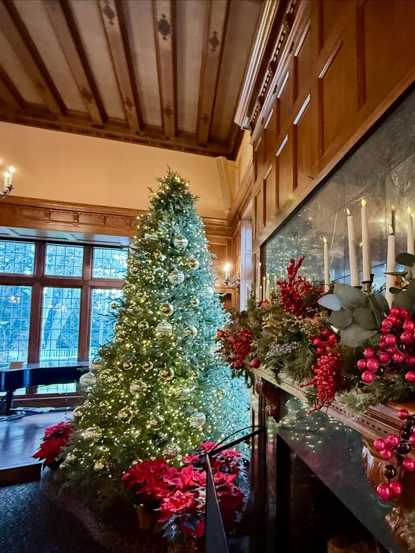 Lairmont Manor sparkling through the short winter days | Wishing each of you hope, endurance, and eternal light 🕯️

#peace #love #innerlight #keepingthelighton