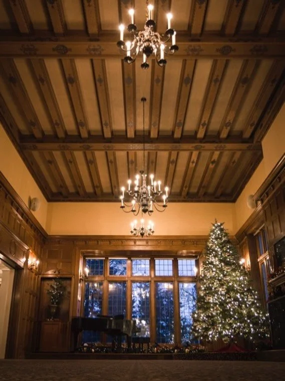 As the year draws to a close, we send our warmest wishes for a truly joyful Christmas and a healthy and happy New Year from all here at Lairmont Manor. 🎄

May your holidays be filled with light, peace, and good cheer. ✨