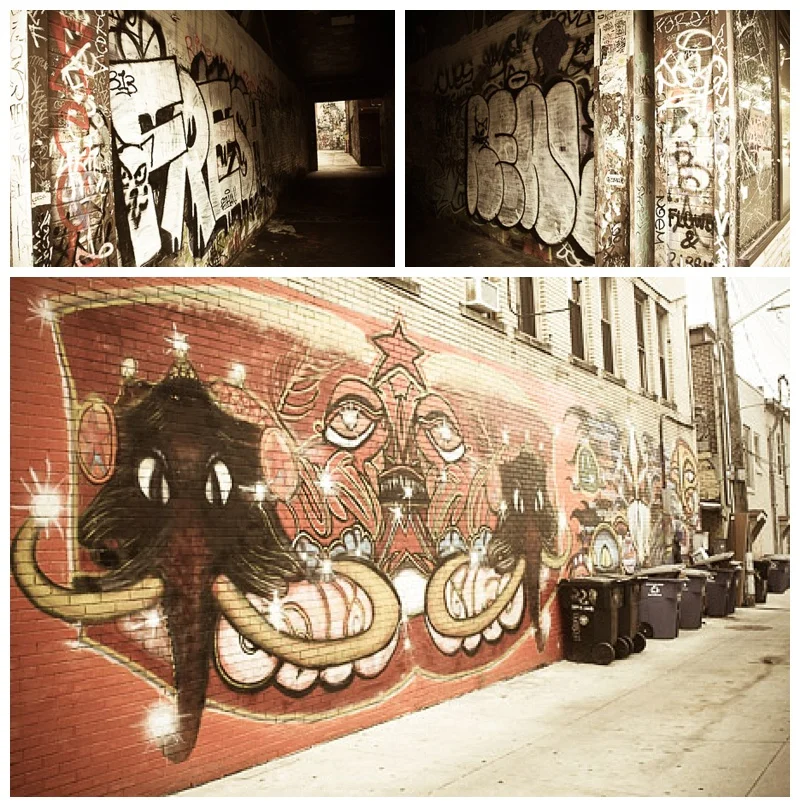 Beautiful wall art throughout downtown Ann Arbor.