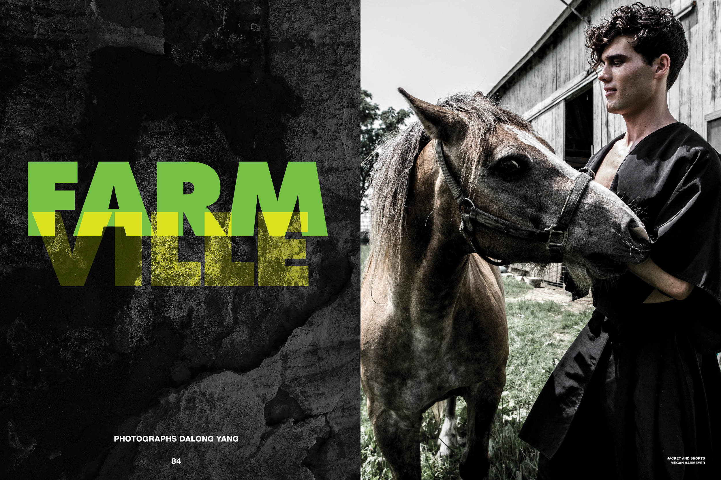 FARM VILLE