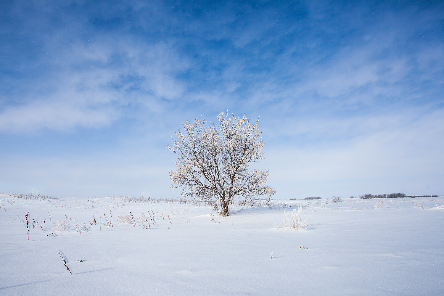 Placify - Southern Saskatchewan